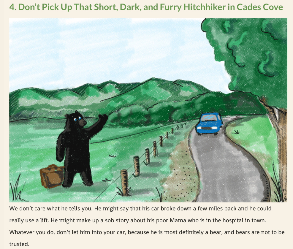 Don't Pick Up That Short, Dark, and Furry Hitchhiker in Cades Cove.